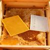 1Pc Plastic Mesh Beekeeping Queen Excluder Frame Bee Queen Barrier Anti-Escape Separation Trapping Grid Net Tool Separated Board
