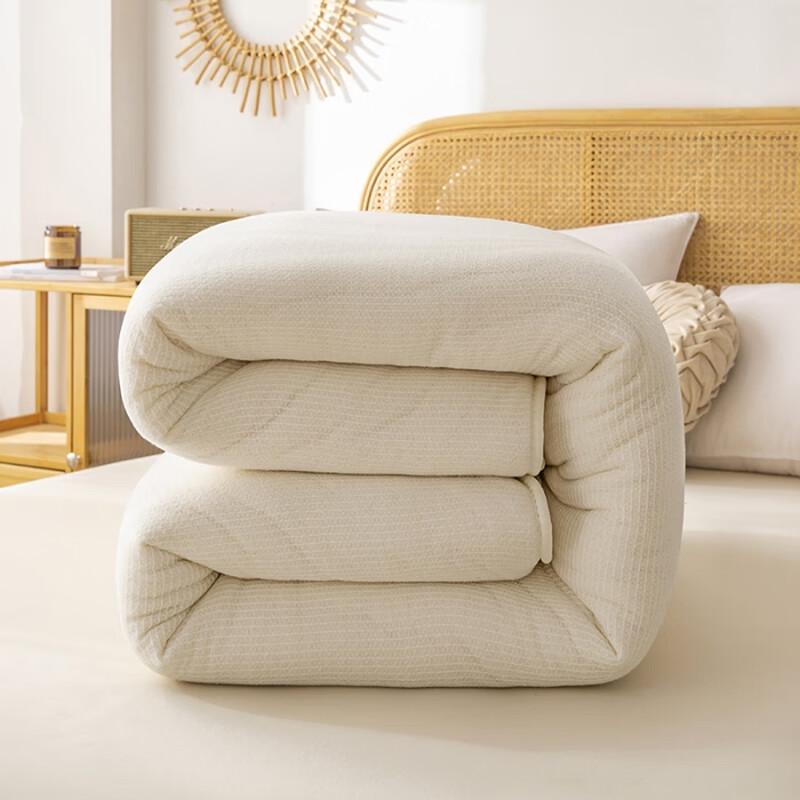 Qi Ai Xinjiang Cotton Blend Fish Scale Mesh Quilt