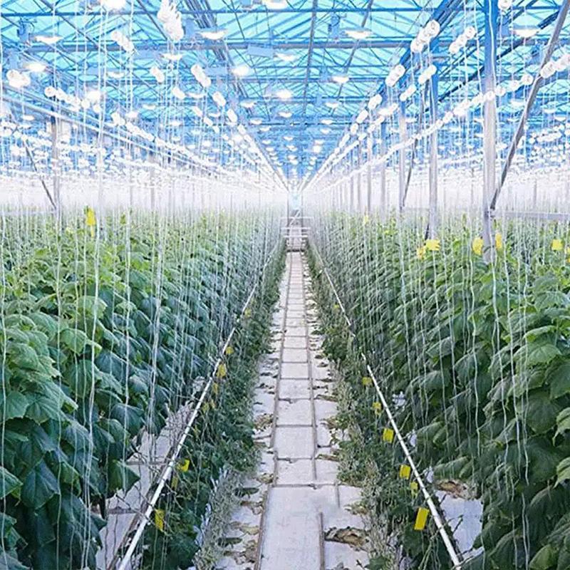 6PC Tomato Cherry Hook Grid Line Greenhouse Tomato Hook Suitable For Supporting Potted Plants