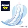 Sofy Pack of Super Deep Sleep Guard All Night Pads 22 Large Capacity Purchase For Extra Heavy Nighttime Use [Value 36] 330, Leak-Free (14 + Pads)