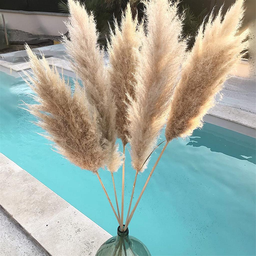 6/8 Stück Künstliches Pampasgras Bouquet Heim Wohnzimmer Hochzeitsfeier Dekoration Kunstpflanze 5-12mm Trockenblume Schilf DIY Vase