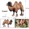 Oenux Simulation Wild Animals Toy Desert Camel Donkey Alpaca Antelope Elk Deer Model Action Figures PVC Decoration Kids Gift