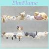 Cat Kitten Collectible Mini Figurine Ornament Cake Topper Tabletop Miniature Cat Sculpture For Desk Bookshelf Car Children Cat Lovers Gift