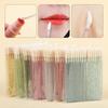 Disposable Crystal Handle Lip Brush: Straight & Angled Heads for Lipstick & Gloss