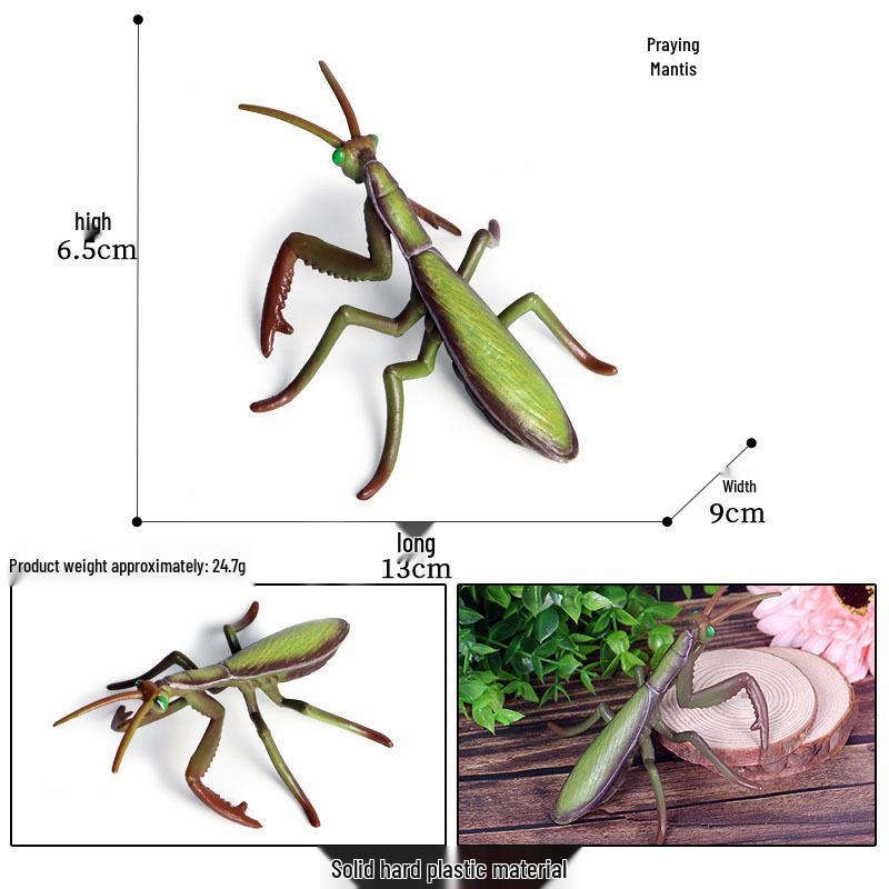 Cross-Border Cognitive Science Education Toy: Stag Beetle Insect Model