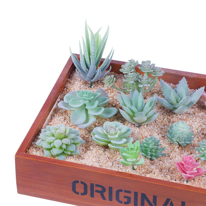 Set0819 Simulation Succulent Plant Set Succulent Plant Mixed With Home Shopping Mall Decoration Shooting Props