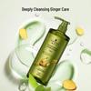 Ginger Essence Oil Control Shampoo
