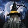 Voice-Activated Light-Up Witch Halloween Decoration - Sound & Motion Hanging Ghost Prop.