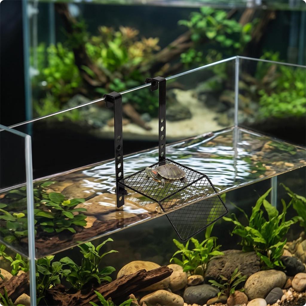 Schildkröten Sonnenplattform Robuste Kletterrampe Leicht für Wasserschildkröten