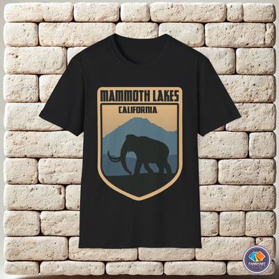 Hauts – T-shirts
