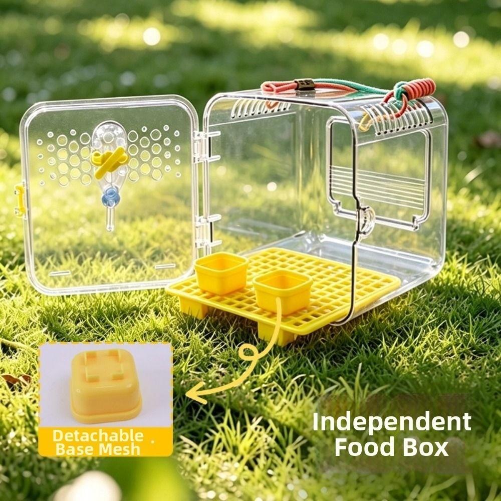 Porte-oiseau Portable Cage de Voyage Transparente pour Oiseaux Cage à Emporter pour Perroquets Voyages Courts