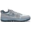 Nike C1TY Low top Skateboard Shoes Men's Gray FZ3863-019