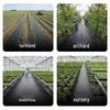 Weed Barrier Cloth: Durable PP Ground Cover for Fruit Farmers and Grass Shading