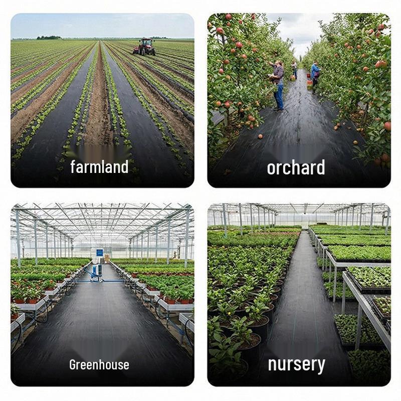 Weed Barrier Cloth: Durable PP Ground Cover for Fruit Farmers and Grass Shading