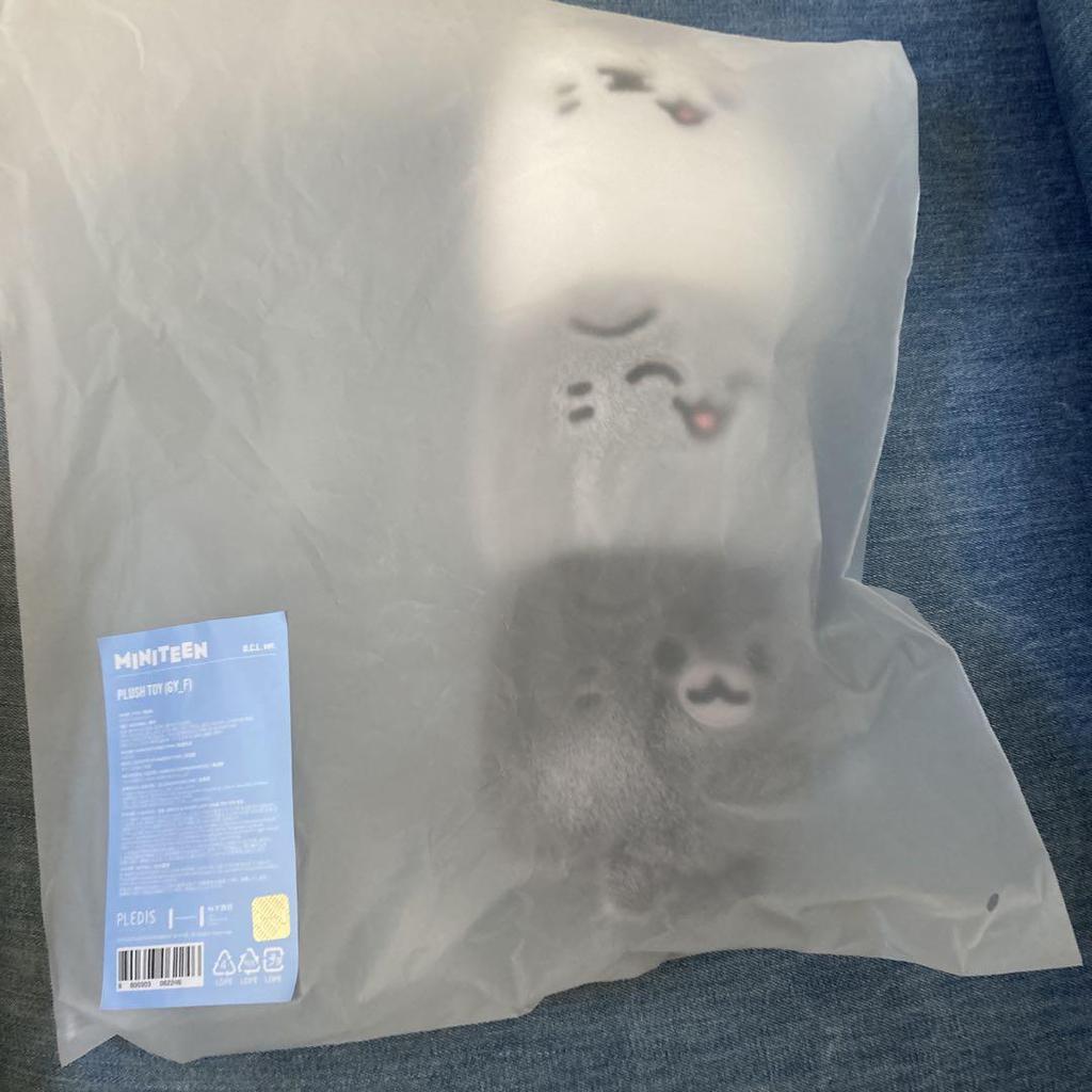[USED] MINITEEN Pop-up Plush Toy Seventeen Jun