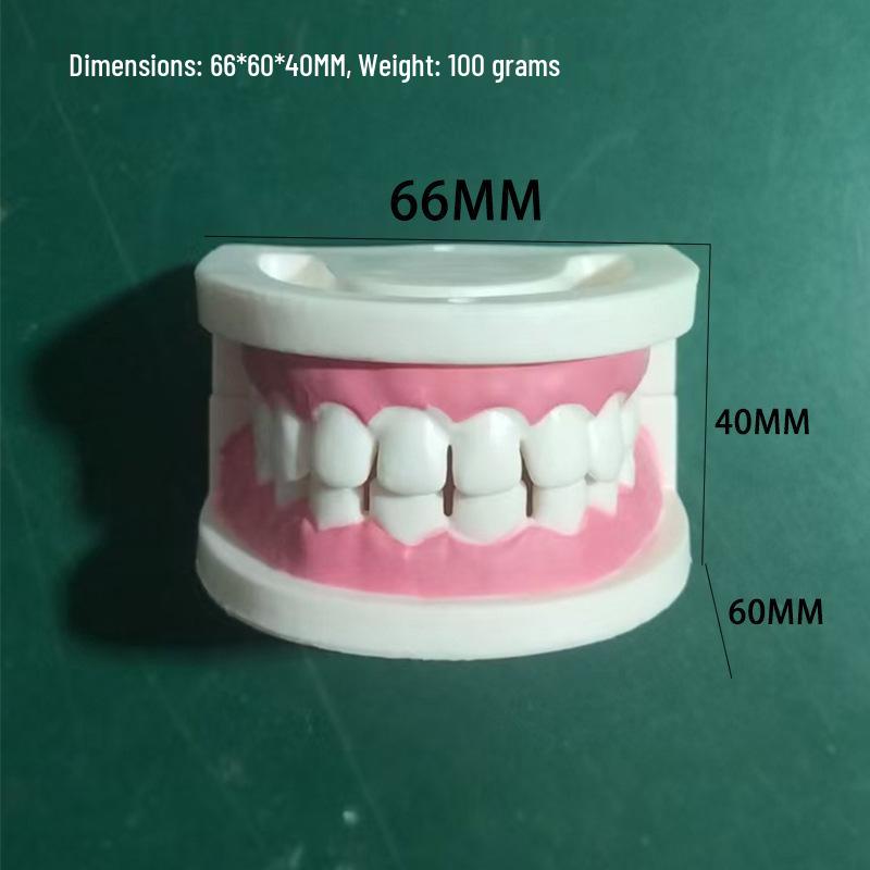 Прозора Знімна Повна Модель Щелепи з М'якими Яснами та Зубами для Підготовки до Імплантації