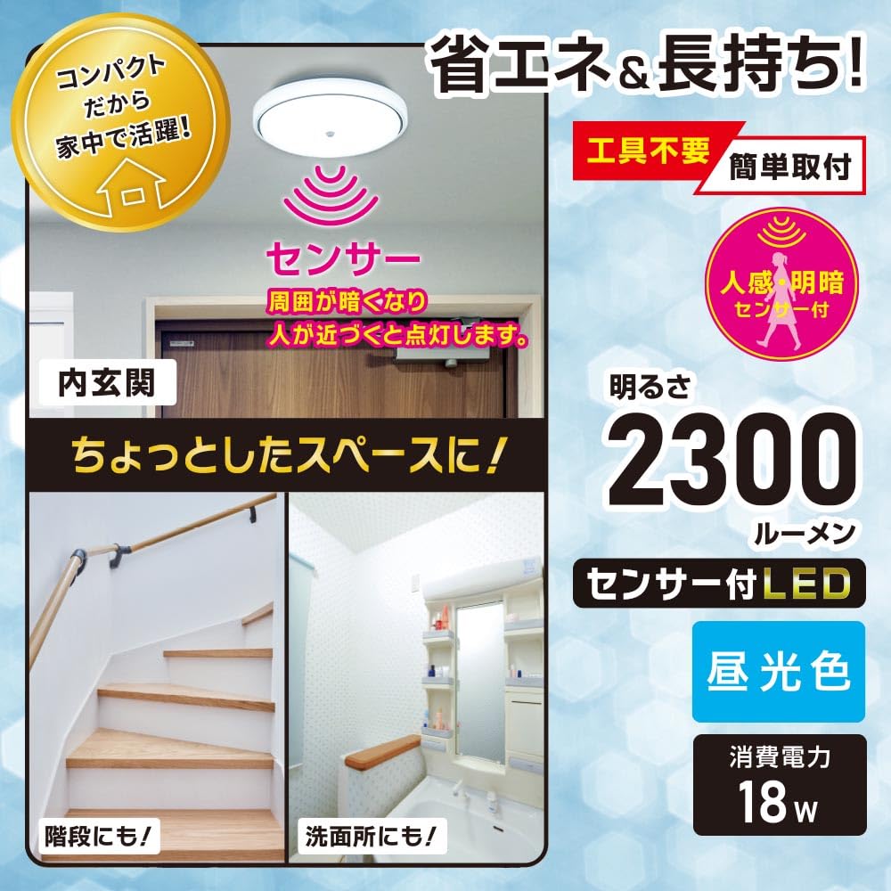 OHM LED Interior Entrance Light, Daylight | OHM Electric LT-Y18D-GB-PIR 06-5570