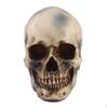 1: 1 Resin Skeleton Head Collel Halloween