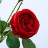 Artificial Rose Feel Three Head Tea Rose Simulation Bouquet Wedding Rose Home Interior Decoration Fake Flowers