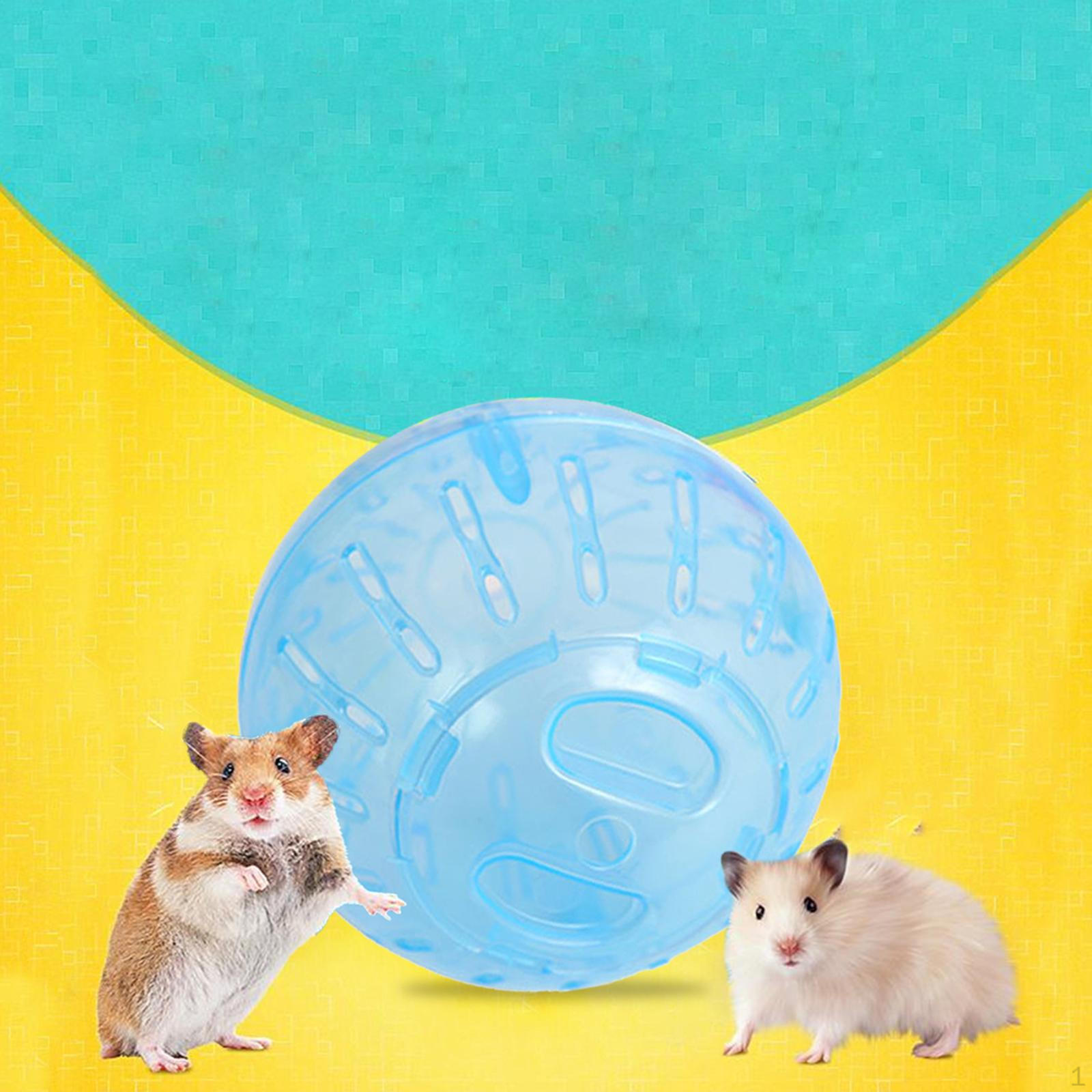 Clear Mini Hamster Exercise Ball for Small Pets