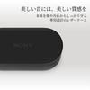 Sony Case Black WF-1000XM6 Cover, (HAC1000XM6CBC)