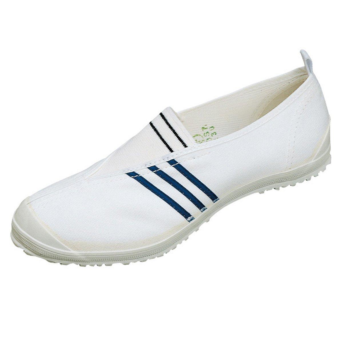 

Moonstar Tsukiboshi Physical Education Type 1A Gym Indoor School Shoes Shoes, Shoes, (Size 21.0, Blue)