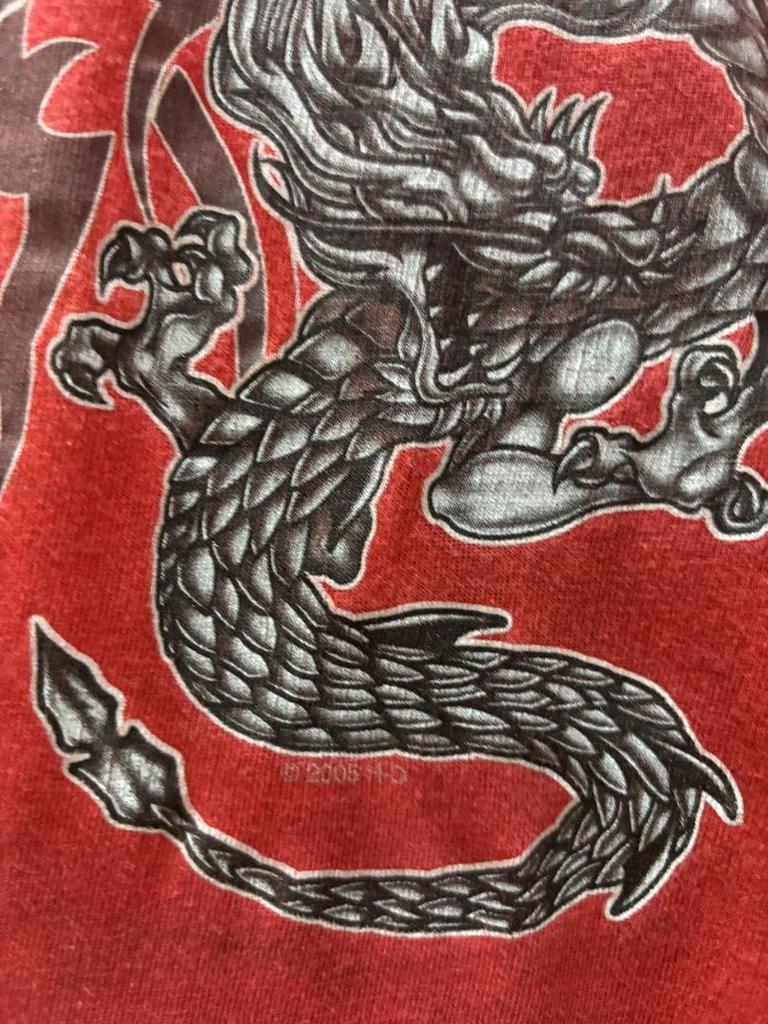 [USED] Y2k Harley-Davidson Tank Top with Dragon Design