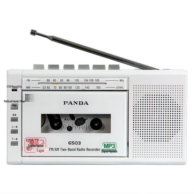 Enregistreur Cassette Portable PANDA 6503 avec Radio AM/FM et Lecteur MP3 Prise CN (adaptateur inclus)