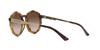 [ARMANI EXCHANGE] [Armani Exchange] Sunglasses AX4132SU SHINY HAVANA FrameGRADIENT BROWN Lens 51