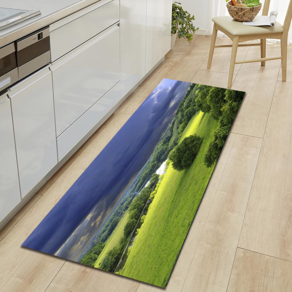 Kitchen Sand Wardrobe Shoe Cabinet Long Floor Mat