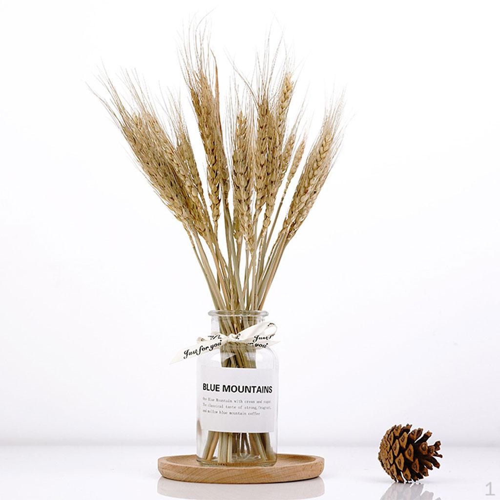 1Set Grass Ration Dried Flowers for Vases, Bouquet Bedroom Living Room Balcony Wedding