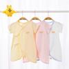 Babyprints Newborn Short Sleeve Bodysuit 2-Pack