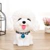 Große Kapazität Hund Sparschwein Dekorative Cartoon Geldboxen Sternzeichen Hund Ornamente Heimdekoration