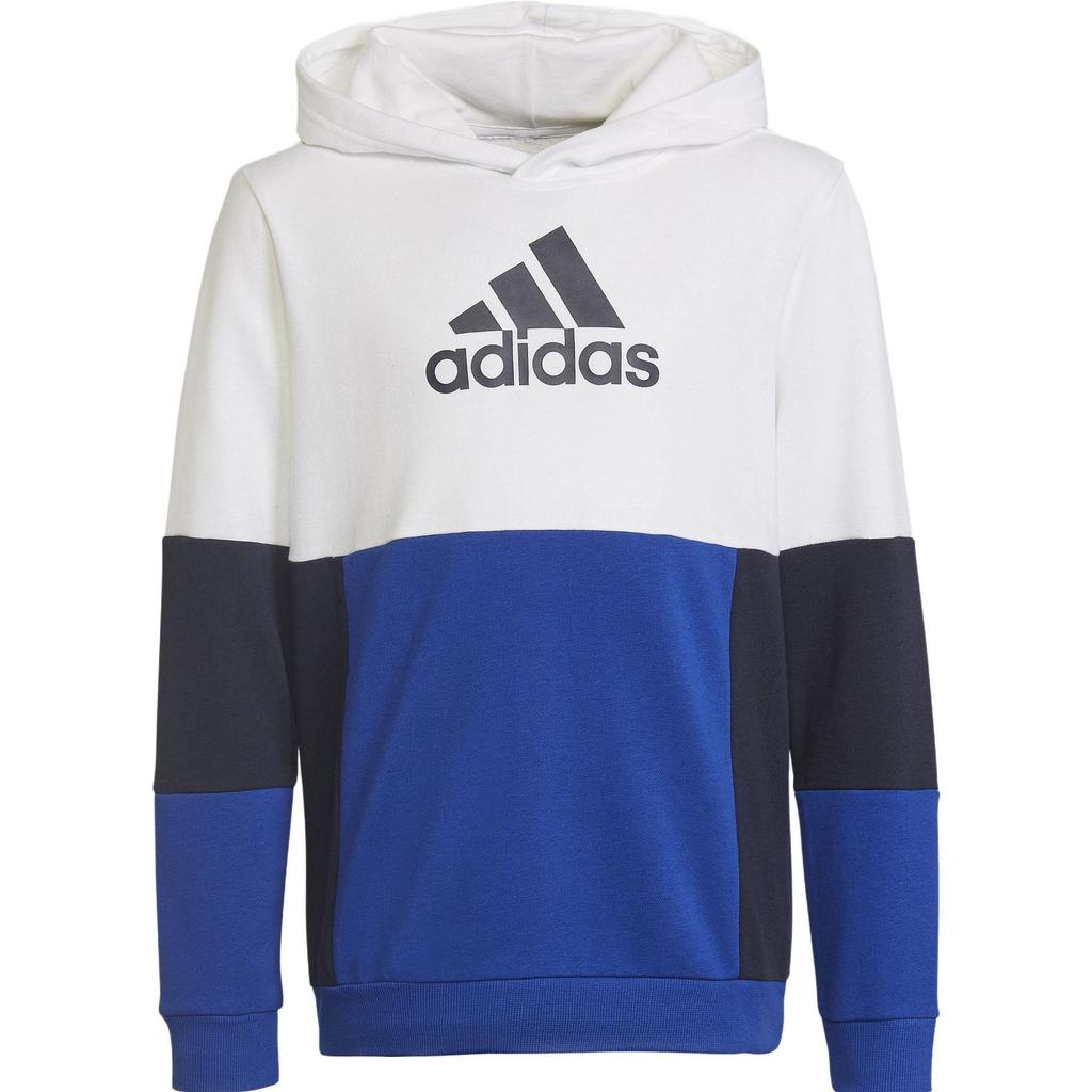 adidas Kids Sweatshirts Moderate HG6826
