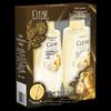 CLEAR Botanical Scalp Care Strong & Volumizing Shampoo Set