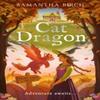 Cat Dragon by Samantha Birch Paperback Book 9780008732981