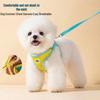 Cães – Colares e correias para cães