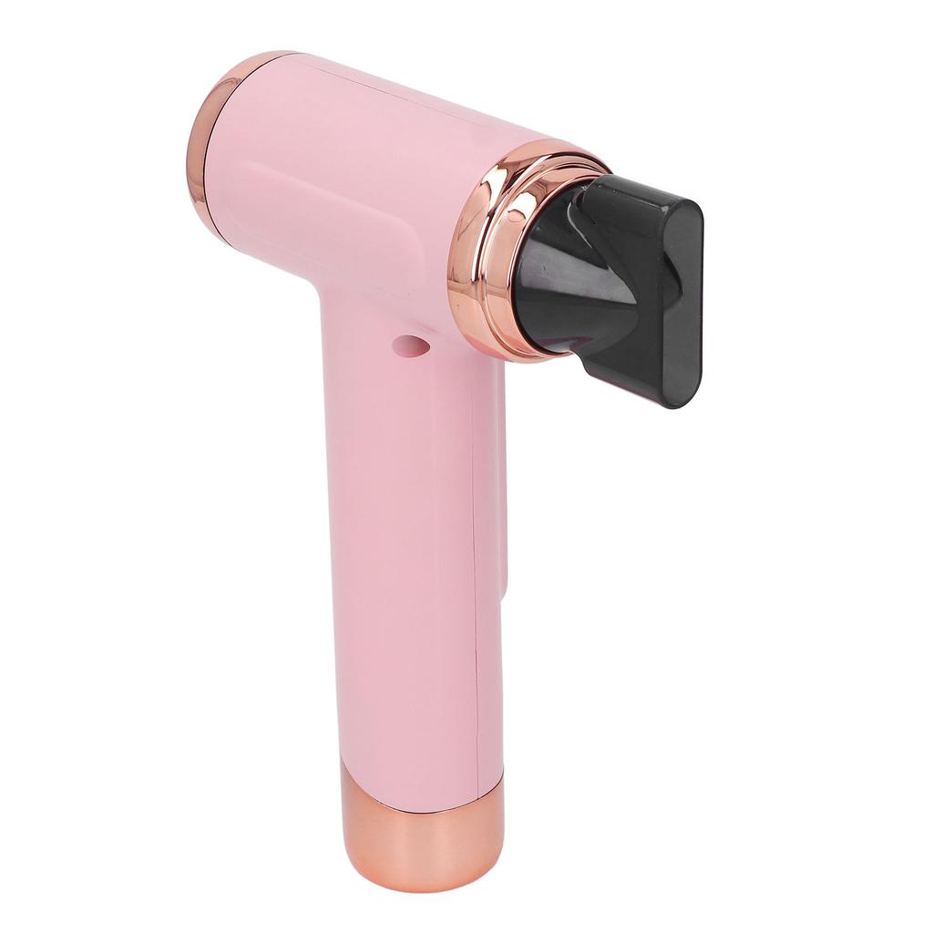 Hair Blow Dryer Wet and Dry Use 200W Powerful Hair Dryer Portable Multifunctional Pet Blow Dryer for Travel