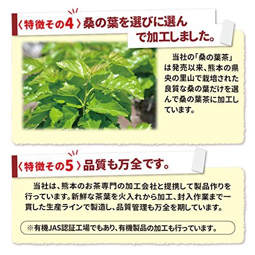 Banshoudo Mulberry Leaf Tea, 100g Powder, Made in Japan, Powdered Mulberry Tea, Benefits, Green Juice, Pesticide-Free, Caffeine-Free, Made in Kumamoto