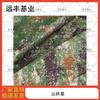 Yuanfeng Jihua New Camouflage & Rainproof Fabric