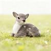 1pc Simulation Plush Animal Sika Deer Reindeer Lovely Xmas Home Decor Standing Miniatures Christmas Elk Scene Arrangement Props