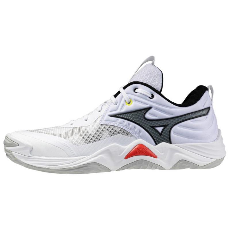 Mizuno WAVE MOMENTUM ELITE unisex comfortable durable volleyball shoes white black V1GA251259 36