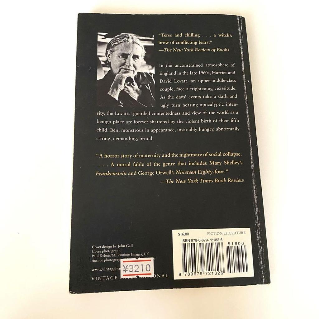 [USED] Doris Lessing The Fifth Child