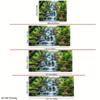 2DRainforest Waterfall Nature Tapestry Tropical Garden View Background for Outdoor Decoration
