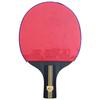 Double Fish K319A Table Tennis Racket Set