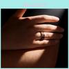 Titanium Steel Wooden Grain Ring With Resin Coating For Men And Women Fashion Jewelry