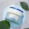 THEFACESHOP Dr. Belmeur Cica Recovery Cream  50ml