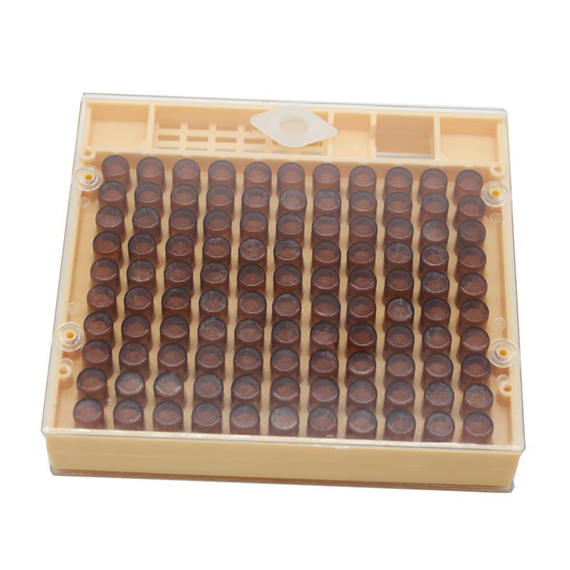 1SET Apiculture Beekeeping Jenter Queen Rearing Incubation System Box Cage Holder Plastic Cell Cup Bees Tool Beekeeping Supplies