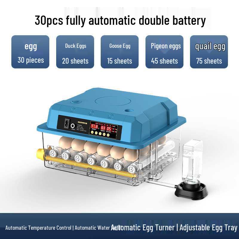 Smart Mini Household Incubator: Fully Automatic Quail & Chicken Egg Incubator with Constant Temperature Control