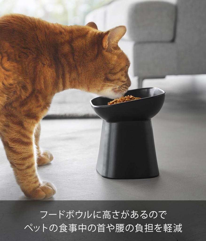 Yamazaki Ceramic Pet Food Slanted Pet Dishwasher Microwave Item 10562 (Yamazaki Industries) Bowl, Height, Black, W15×D15×H17cm, Nooks, Dish, Safe,